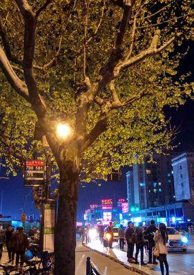 MySQL 5.5 分区之高级分区实例及性能分析