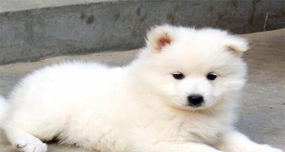 如何在SQL Server 2005中使用作业实现备份和特定删除